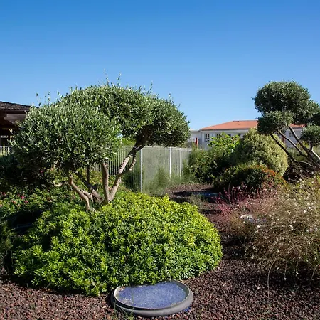 Le Jardin Secret By Golden Riviera Antibes