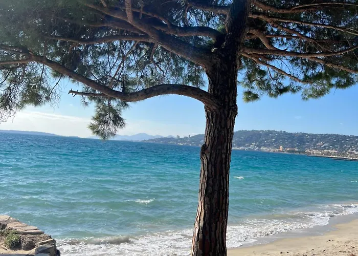 Le Jardin Secret By Golden Riviera Terrasses & Acces *